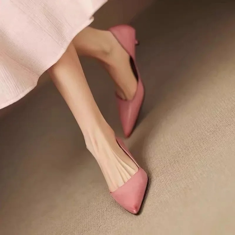 Women's Pointed Toe Stiletto H - огляд і ціна Women Shoes With Heels