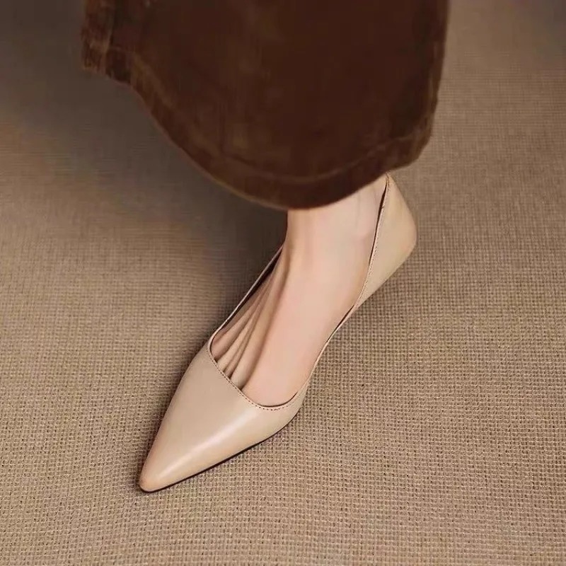Women's Pointed Toe Stiletto H - огляд і ціна Women Shoes With Heels